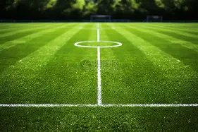 桑切斯与阿,利森内场冲,两将同被换,PG电子官网,PG电子试玩,PG电子模拟器,PG电子平台,PG电子下载