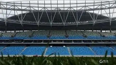 美国女篮传奇陶乐西宣布退役告别篮球舞台