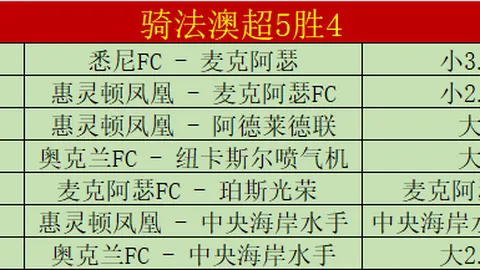 布加勒斯特荣耀之战：快速主场强势击溃佩特罗鲁，胜利狂欢！
